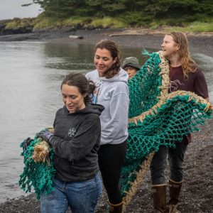 unveiling boll insurance discover the key to coastal protection