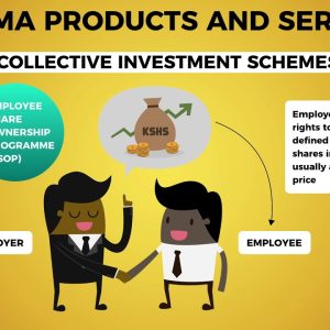 uncover the meaning of collective investment schemes a gateway to investment discovery 1