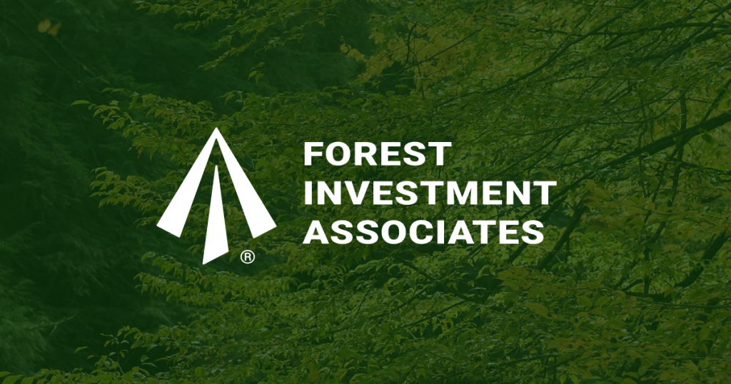 unveiling the world of forest investment discoveries and insights for savvy investors 1