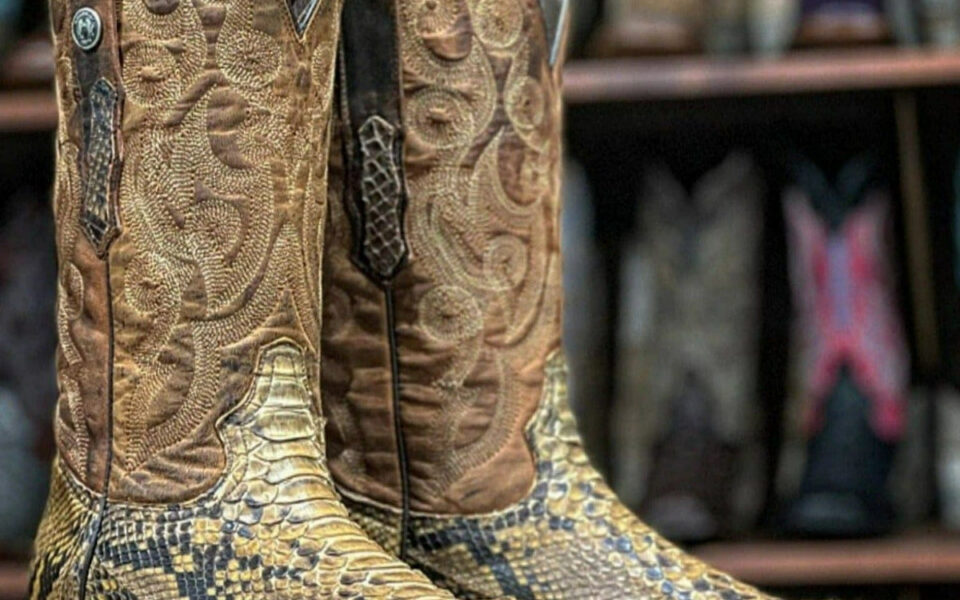discover stylish python skin boots elevate your footwear game