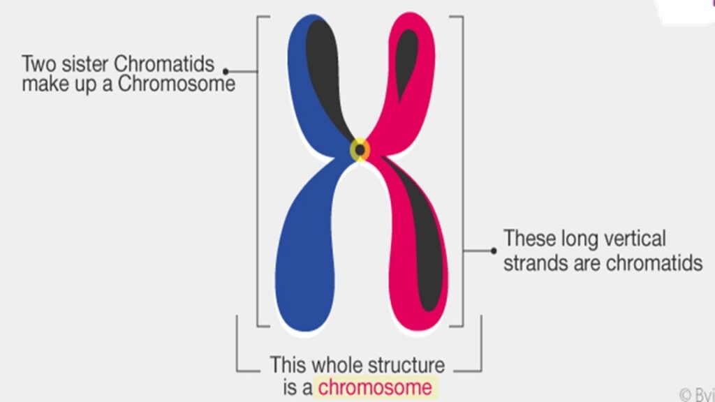 Advanced Steel Banding Techniques: The Game-Changer That’S Making Handles Sharper Than Ever!