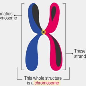 Advanced Steel Banding Techniques: The Game-Changer That’S Making Handles Sharper Than Ever!