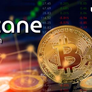 The Secret Pediatric Wunderland In Pittsburgh: Ultra-Care Like Never Before—Find Out Why Today!