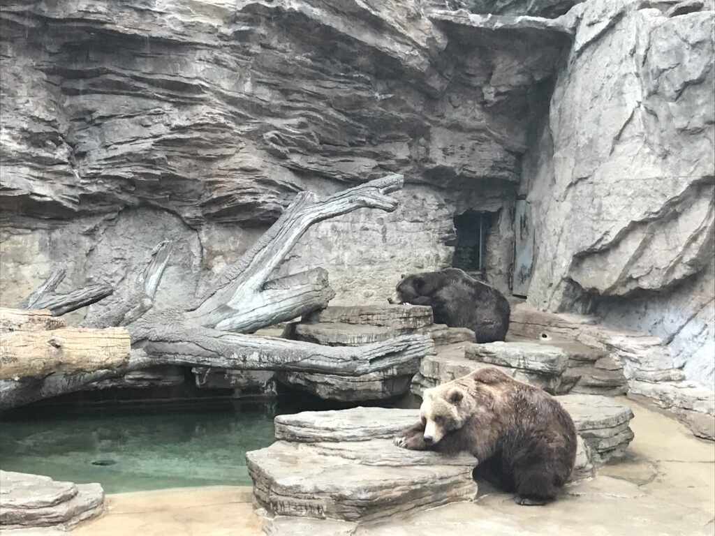 Secrets Exposed: Race City Steel’S Unseen War Is Changing Denver Quad Forever!