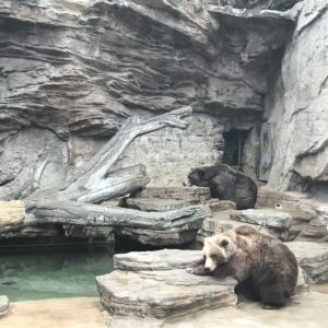 Secrets Exposed: Race City Steel’S Unseen War Is Changing Denver Quad Forever!