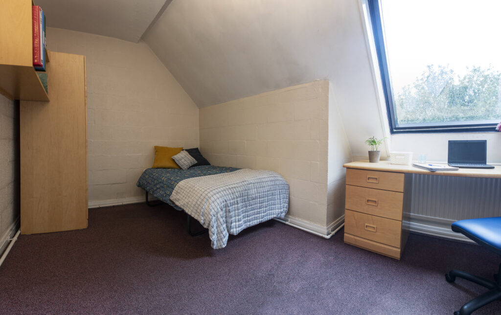 Steel Roofs: The Expensive Secrets You Won’T Find In Shopping Guides!