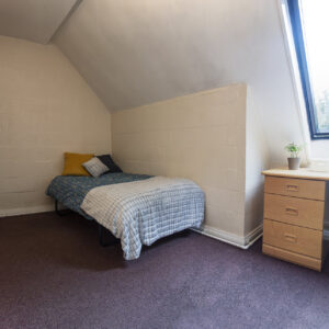 Steel Roofs: The Expensive Secrets You Won’T Find In Shopping Guides!