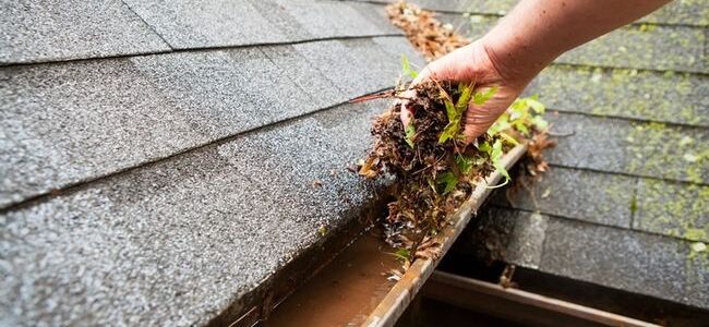 Say Goodbye To Clogged Gutters – Stainless Steel Shield That Works For Years!