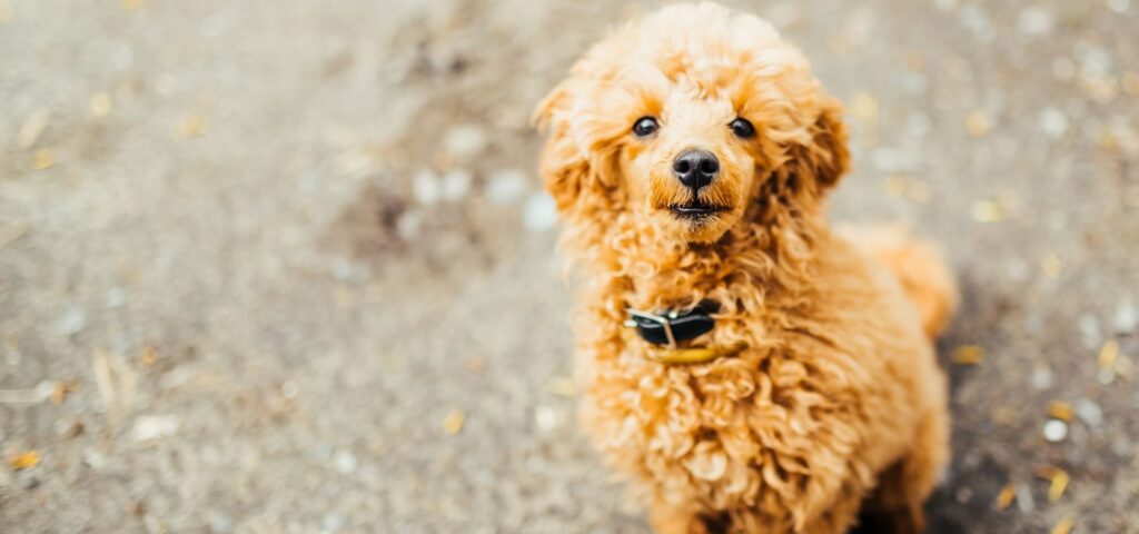 Engineering’S Constant Companion: Why 4340 Steel Dominates Bridges And Engines Worldwide!