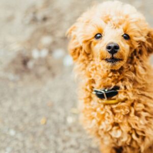 Engineering’S Constant Companion: Why 4340 Steel Dominates Bridges And Engines Worldwide!