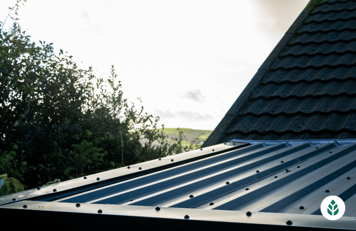 Steel Roof Costs 1 1231x800 2