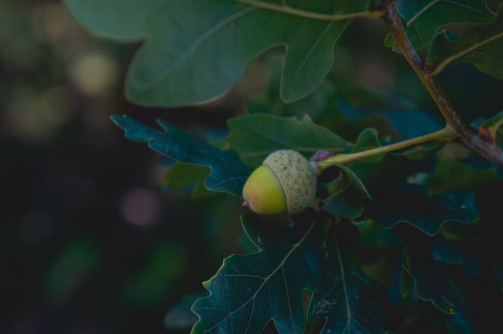 Why The Cres 440C Stands Above The Rest: The Ultimate Durable Hardware Solution You Need Now!