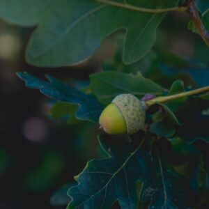 Why The Cres 440C Stands Above The Rest: The Ultimate Durable Hardware Solution You Need Now!