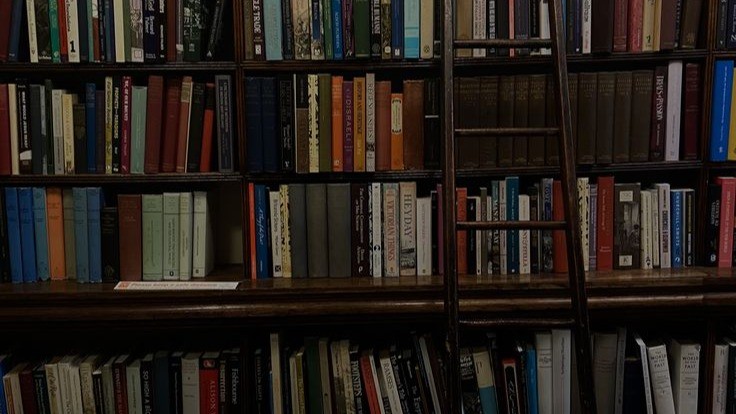 Shamrock Steel’S Rise Exploded—Definitive Reveal Of Their Unstoppable Journey!