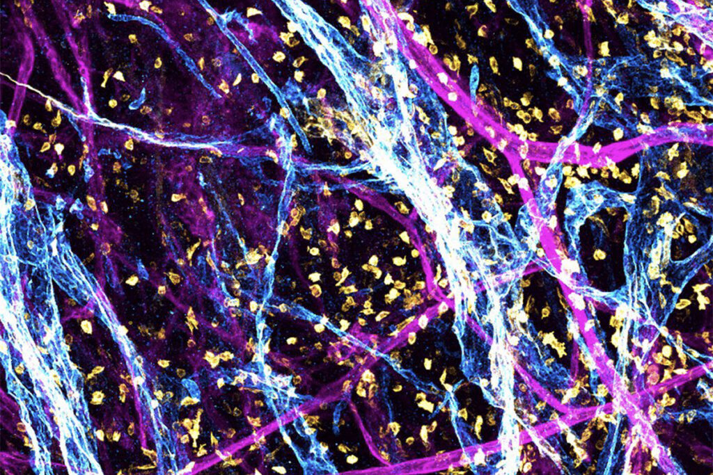 This Doctor’S Shocking Discovery Is Splitting The Medical World—Here’S What You Need To Know!