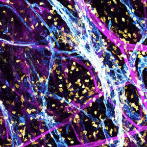 This Doctor’S Shocking Discovery Is Splitting The Medical World—Here’S What You Need To Know!