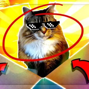 Super Surprise Alert—This Steel Box Was A Game-Changer You Never Saw Coming!