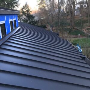 Black Steel Roofs Are Taking Over—See Why This Trend Is Changing Rooftops Forever!