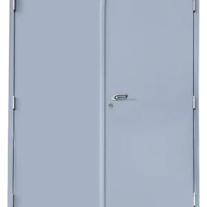 Why These Double Steel Doors Are A Game-Changer For Your Safety And Style?