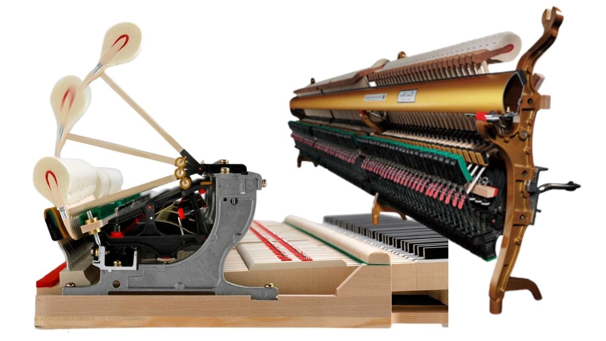 grand piano action vs upright piano action