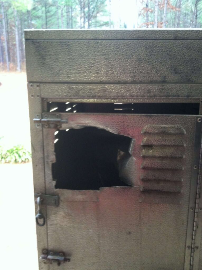 Tougher Than Metal, Stronger Than Steel—Steal The Spotlight With These Unstoppable Storage Powerhouses!