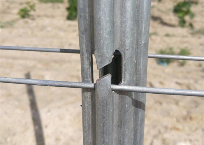Galvanized Steel Posts: The Rust-Resistant Champion Your Project Hasn’T Seen Yet!