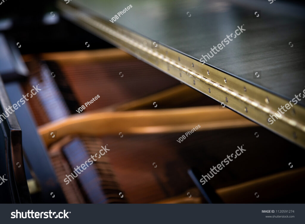 Your High-End Piano’S Hinge Isn’T Just Functional – It’S A Game-Changer, Shocking Piano Enthusiasts!