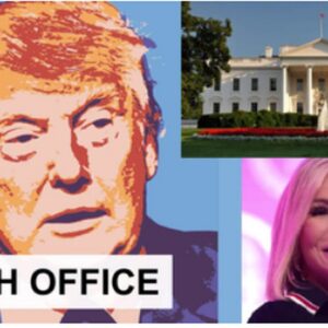 Inside Shamrock Steel’S Rise: The Truth That’Ll Shock Every Fan!