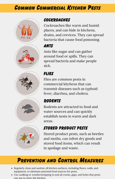commercial kitchen pest control complete beginner guide 1